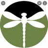 Lori Mccue - @dragonfly1217 - TikTok