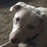 Lori McCurdy - @lsmrn62 - Instagram