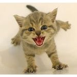 Lori McCurdy - @mccurdy0424 - Instagram