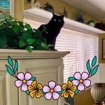 Lorraine McDevitt - @lorimcd36 - Instagram