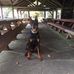 Lora Mcelroy - Facebook