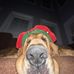 Lori Carmody - Facebook