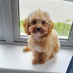 Lorraine McMaster - @lormcm - Instagram