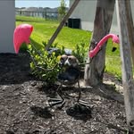 Lori McMullen - @lcmcmullen2721 - Instagram