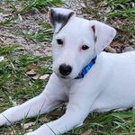 Lori McNew - @mcnewlori - Instagram