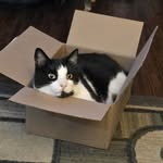 Lori McNutt Adkins - @lorimcnuttk - Instagram