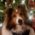 Lorri Sandlin McNutt - @lmcnutt64 - Instagram