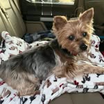 Lori McSwain - @lori.mcswain16 - Instagram