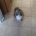 Lori Meade - Facebook