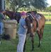 Lori J. Mears - Facebook
