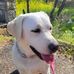 Lori Merriam - Facebook
