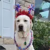 lorimerriam795 - @lorimerriam795 - TikTok