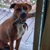 Lorena Messersmith - Facebook