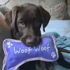 Remi - @lorideltufomessersmith - TikTok