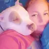 Lori Messner Harris - @lorimessnerharris - TikTok