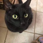 Lori Mickle - @micklelori - Instagram