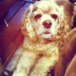 Lori Mikesell - @lorimikesell - Instagram