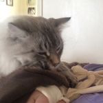 Lori Minor - @loriminor6266 - Instagram