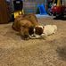 Lori Mock - Facebook