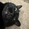 Malori Molitor - @malori_ - TikTok