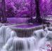 Lori Monk - Facebook