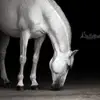 LoriMonk - @lorimonk - TikTok