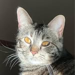 Lori Parviainen Monteith - @shopgirl63 - Instagram