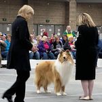 Lori Montero - @lorimarcollies - Instagram