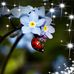 Lori Montero - Facebook