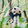 Lori Moore - @lori.moore.lori.m - TikTok