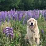 Lori Siebert Morey - @lori.morey.315 - Instagram