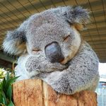 Lori Wegman-Morey - @lorikm05 - Instagram