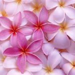 Lori Morrill - @lori_morrill5 - Instagram