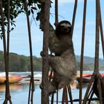 Lori Morrison - @lori_mtravel - Instagram