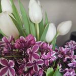 Lori Morrison - @lorimorrison910 - Instagram