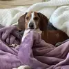 lorimorrison8225 - @lorimorrison8225 - TikTok