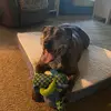 Lori - @lorimoyer475 - TikTok