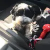 lorimullaney106 - @lorimullaney106 - TikTok