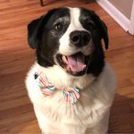 Lori Day Mullis - @plzzmullis - Instagram