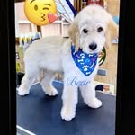 Lori Mumphrey - @mumphreykay2 - Instagram