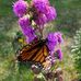 Lori Nagel - Facebook