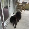 Killer - @lorijnay - TikTok