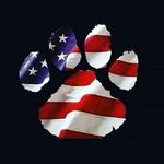 🐾  Lori Ness  🐾 - @lori_and_furbabies - Instagram