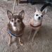 Lori Ness - Facebook