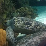 Lori Ness Shuman - @shumanloriness - Instagram