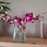Lori Ness Wolfe - @lorinesswolfe - Instagram