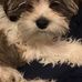 Lori Newlon - Facebook