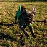 Lori Nickell - @lunkerloo - Instagram