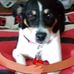 Lori Nutt - Facebook
