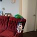 Lori Nutt - Facebook